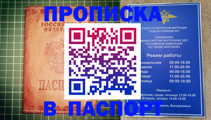 прописка гарантия в Мытищах